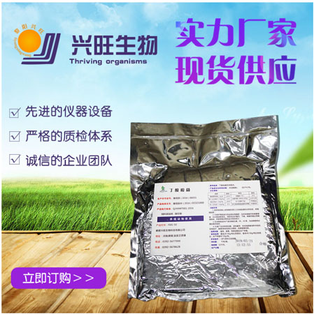 丁酸梭菌