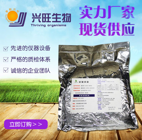 屎腸球菌