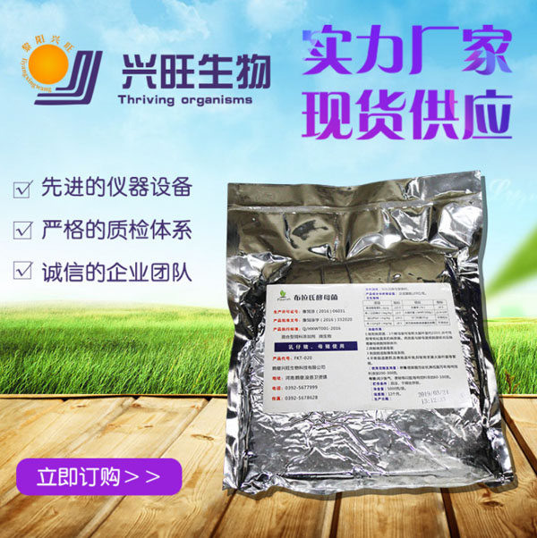 布拉氏酵母菌